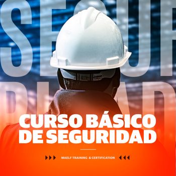 BASICO DE SEGURIDAD